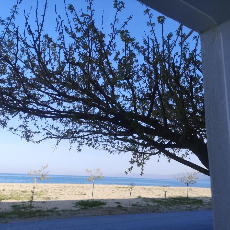 Greece Asprovalta Rooms Accomodation Apartment Hotel Petalo エクステリア 写真