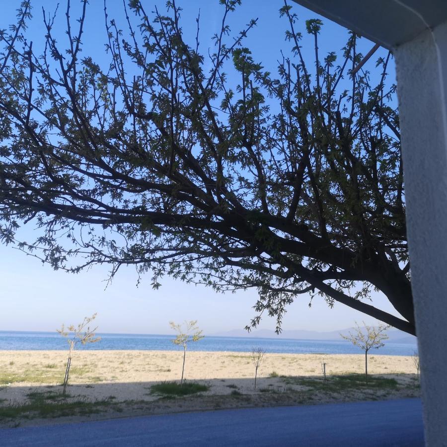Greece Asprovalta Rooms Accomodation Apartment Hotel Petalo エクステリア 写真
